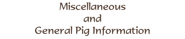 Miscellaneous  and  General Pig Information